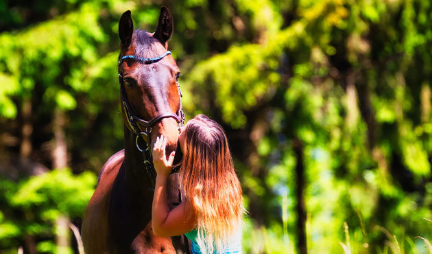 Eine junge Reiterin mit langen brünetten Haaren steht mit ihrem Pferd auf einer Hochsommerwiese im strahlenden Sonnenschein.