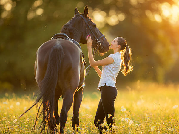 Junge Frau mit ihrem Pferd im Abendlicht des Sonnenuntergangs